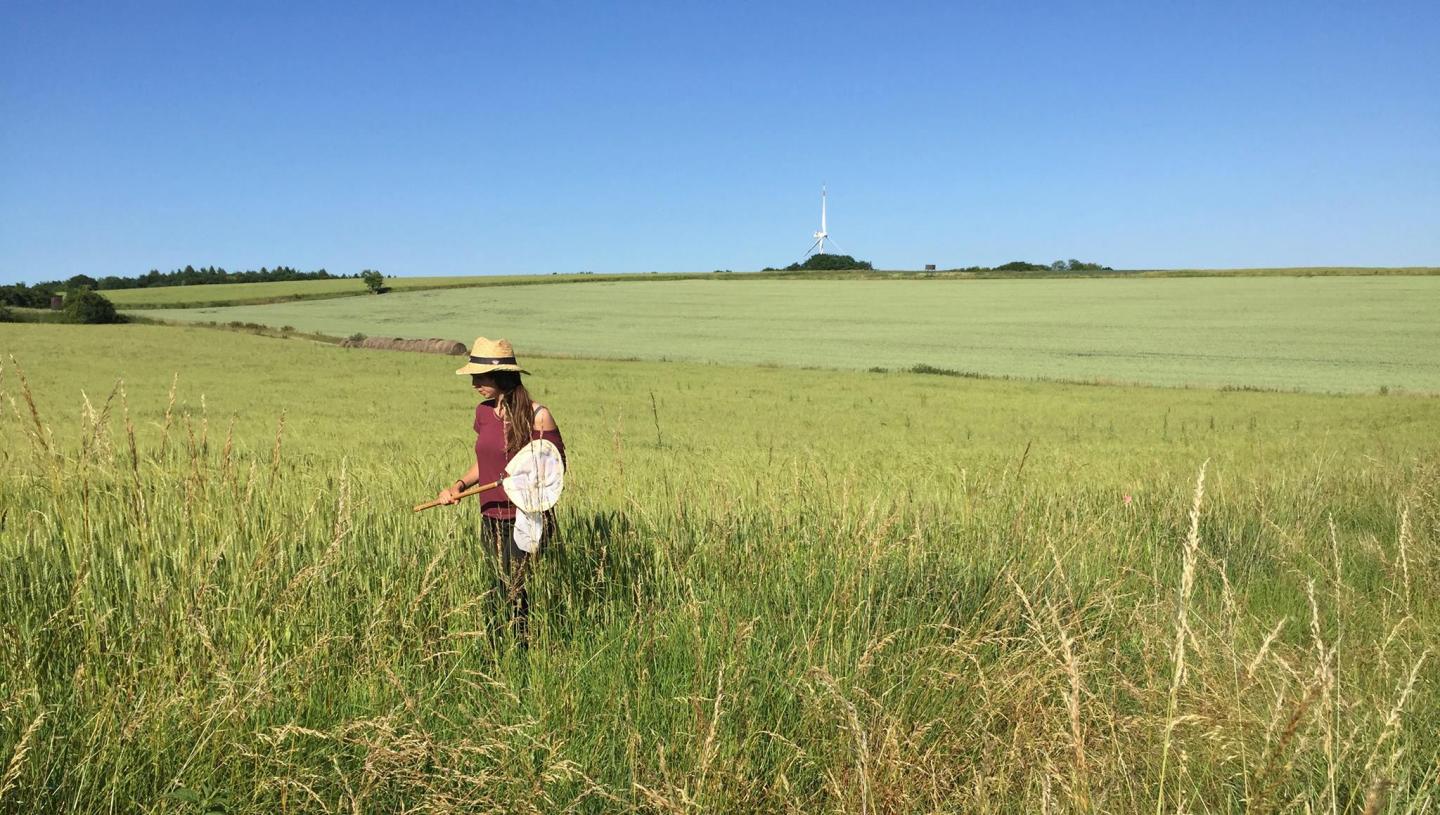 Female researcher in field full of grain