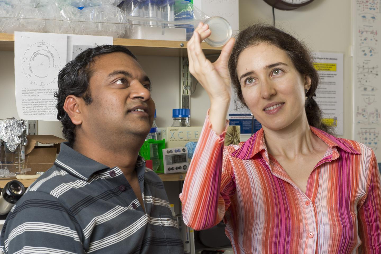 Sreekanth Chalasani and Tatyana Sharpee, Salk Institute