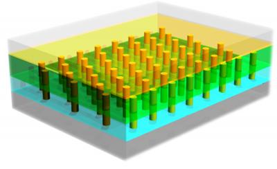 Nanopillar Array Diagram