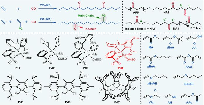 图1. E-CO-PM非交替三元共聚-催化剂、极性单体与微观结构