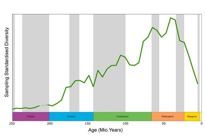 Fig. 3: Diversity curve of neoselachians (modern sharks and rays and the extinct synechodontiform sharks) from the Triassic to the Holocene in millions of years. The curve shows "sampling standardised range through" diversity.