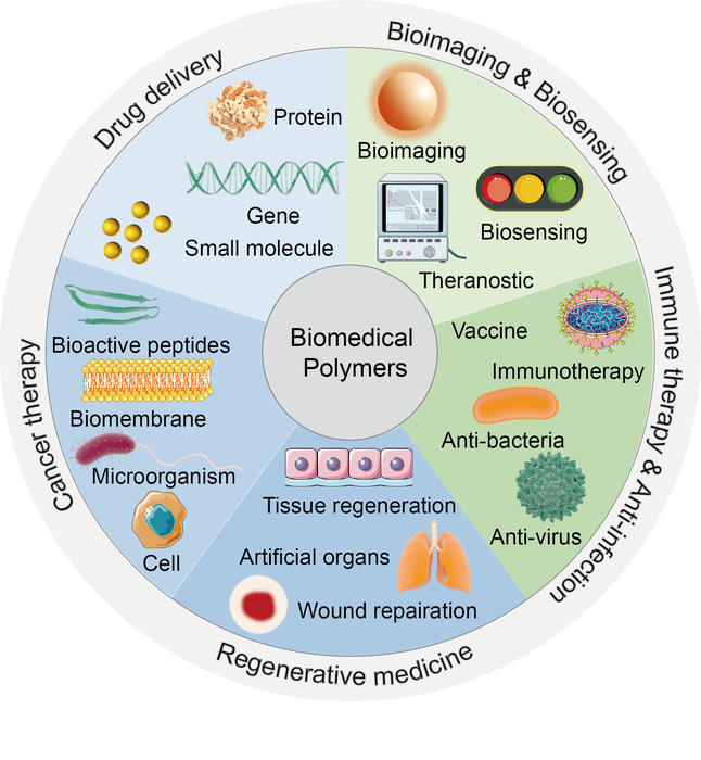 Biomedical polymers Synthesis, properties, a EurekAlert!