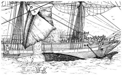 Processing of a Right Whale Carcass, 19th Century