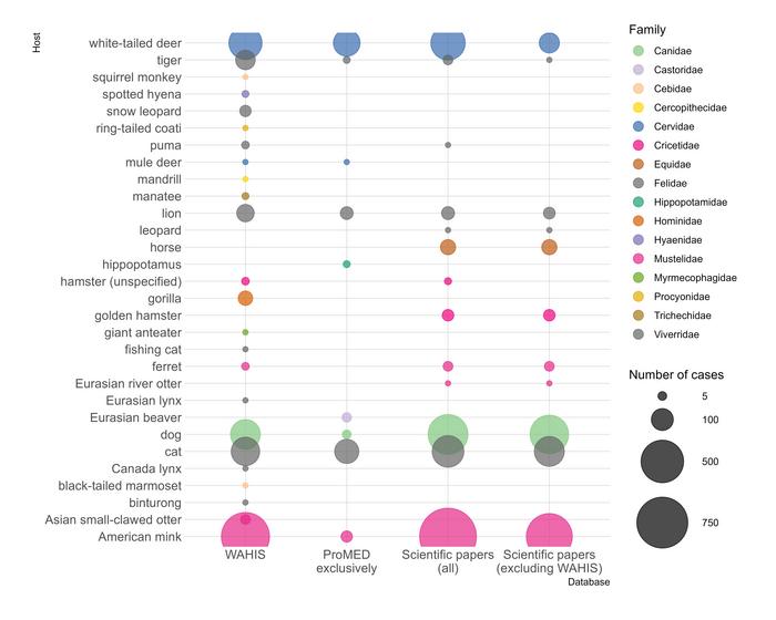 Number of cases per animal species