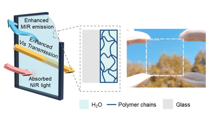 Hydrogel glass: a novel glass design for energy saving in buildings