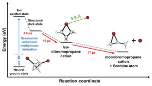 Figure 3. Overall Structural Dynamics of DBP during Resonance-Enhanced Multiphoton Ionization