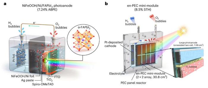 NiFeOOH/Ni/FAPbI3 photoanode and all-PSK-based en-PEC mini-module.