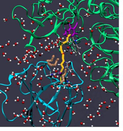Illustration of Residues Forming Electron Transfer 'Breakwater'