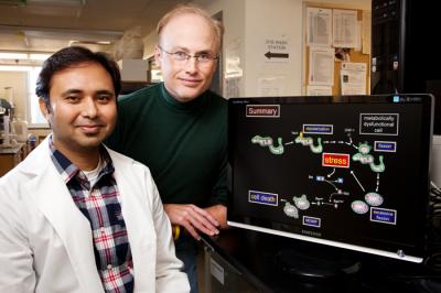 <I>H. pylori</I> Discovery