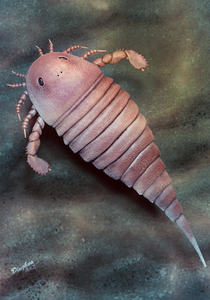 Life reconstruction of Archopterus anjiensis