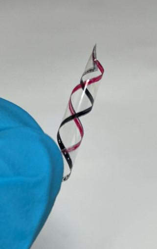 Transparent plastic with spiral pattern in black and red. Held in fingers wearing blue gloves