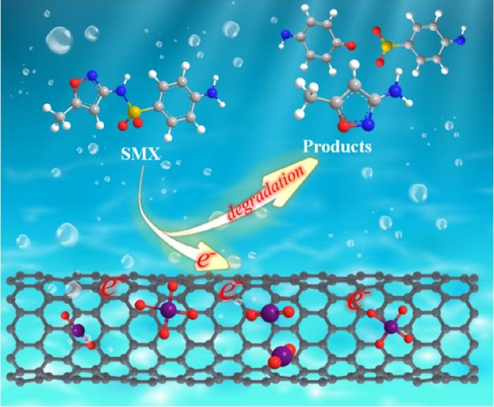 graphical abstract [IMAGE] | EurekAlert! Science News Releases