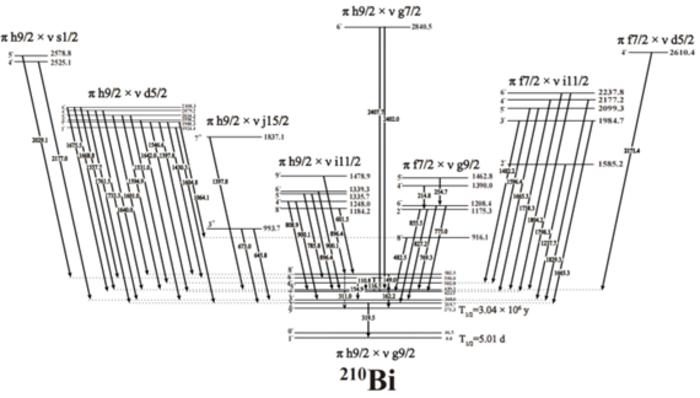 Partial level scheme of 210Bi in the unit of keV.