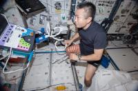 Using Ultrasound for the Sprint Experiment on Station