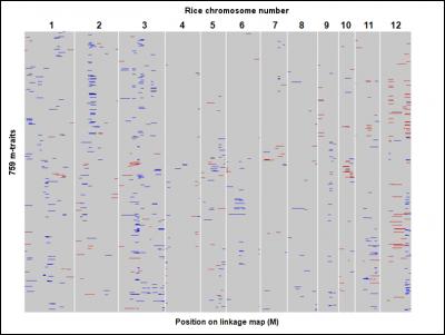 Genome-Wide Distribution of QTLs
