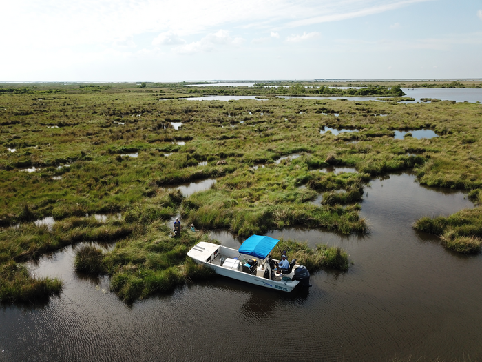 Natural marsh