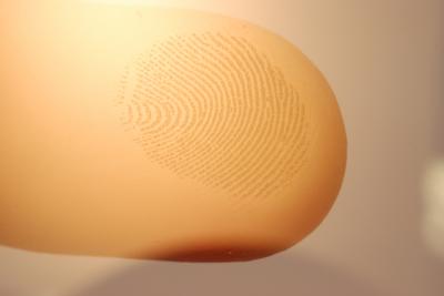 Why Fingerprints? (1 of 5)