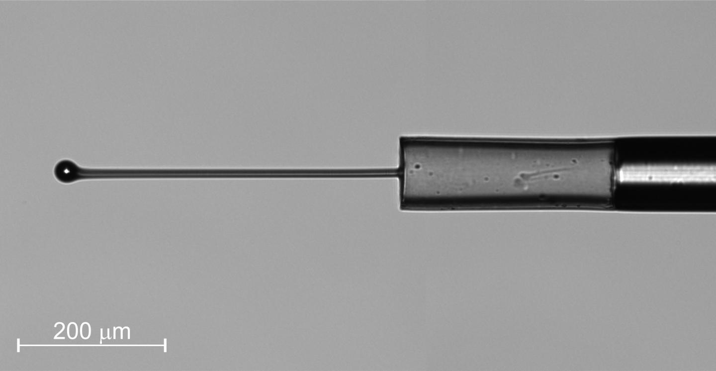 Fiber optic probe