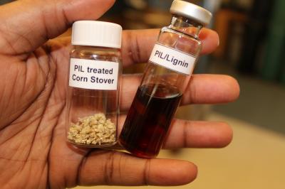 Simple, Cost-Effective Way to Remove Lignin from Biomass