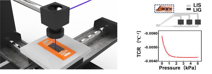 All-laser direct writing (LDW) induced temperature sensing array with multitypes materials