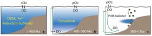 Spatial pattern of marine oxygen levels through the Phanerozoic