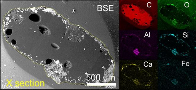 Figure 2. Back-scattered electron (BSE) image