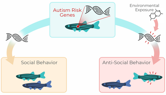 Fish socialization graphic