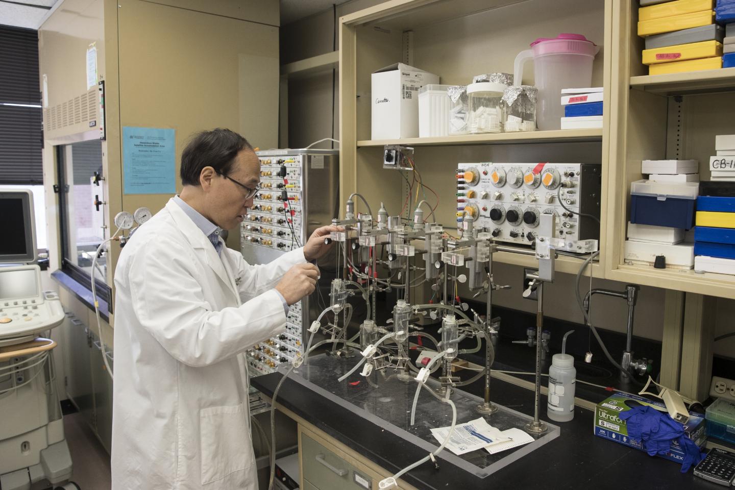 Exercise before Surgery Can Protect both Muscle and Nerves, Study Suggests (3 of 3)