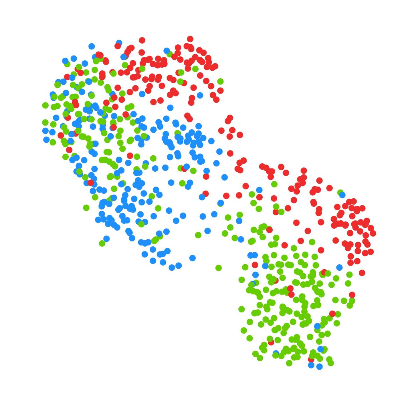 Single cell analysis