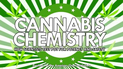 Cannabis Chemistry: How Scientists Test Pot for Potency and Safety (Video)