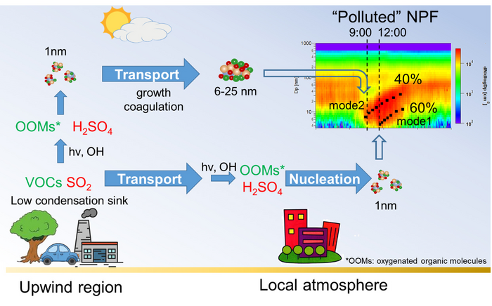 Sketch map for how the “polluted” atmospheric new particle formation events occur