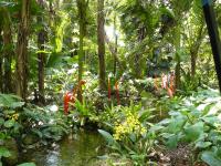 Fairchild Tropical Botanic Garden in Florida