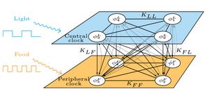 Schematic of the mathematical model.