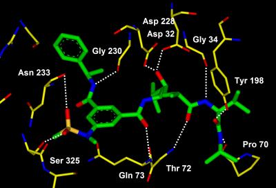 X-ray Crystal Structure