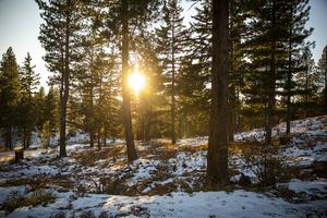 Fall snow levels can predict a season's total snowpack in some western states