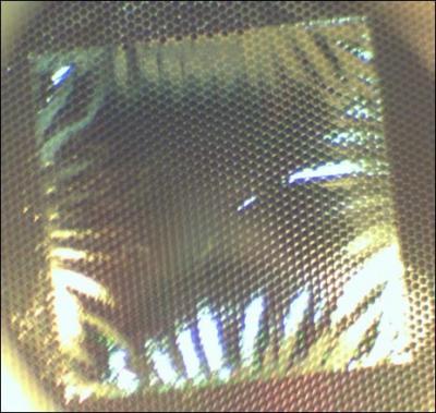 The Electrochemical Membrane