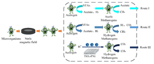 Magnetic field enhances anaerobic digestion in methane production