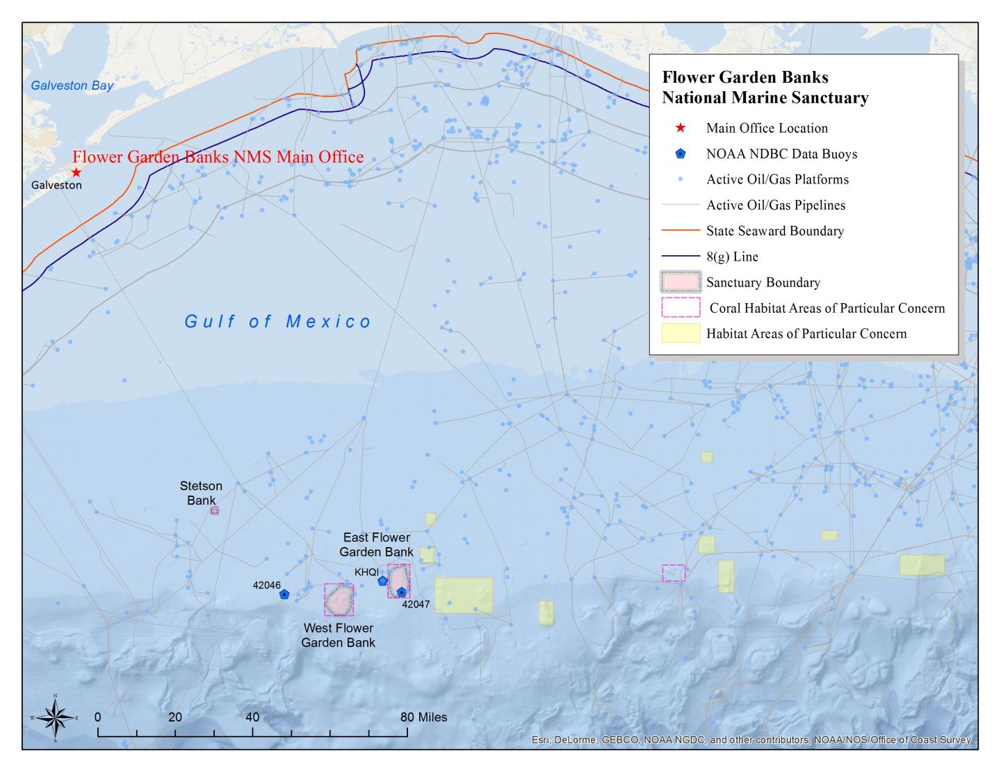 Marine Garden (3 of 3)