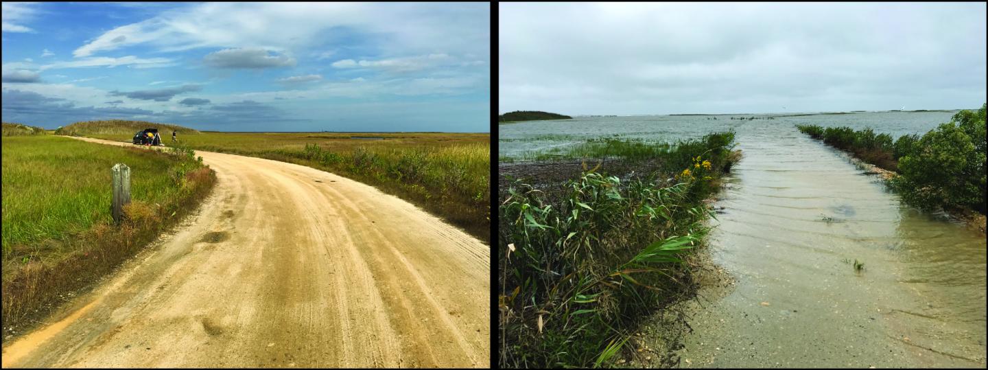 Flooding at Forsythe National Wildlife Refuge