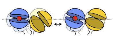 Glutamate-Binding Segments Rock