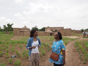 The field in Burkina Faso (4)