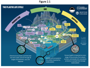 The Minderoo-Monaco Commission on Plastics and Human Health