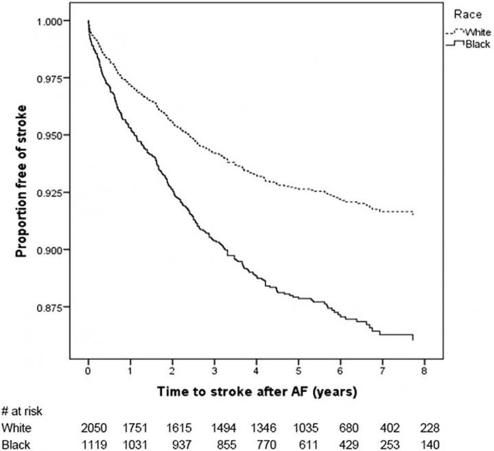 Blacks with Atrial Fibrillation Have Significantly Higher Risk of Stroke Than Whites