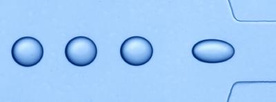 Microfluidic Device Tests Fluid Compatibility