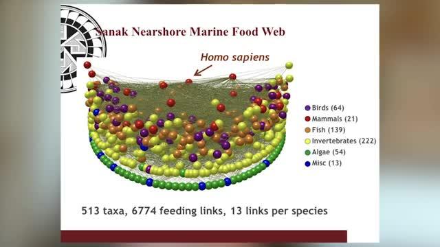 Why Study Humanity's Place In Ecological Networks?