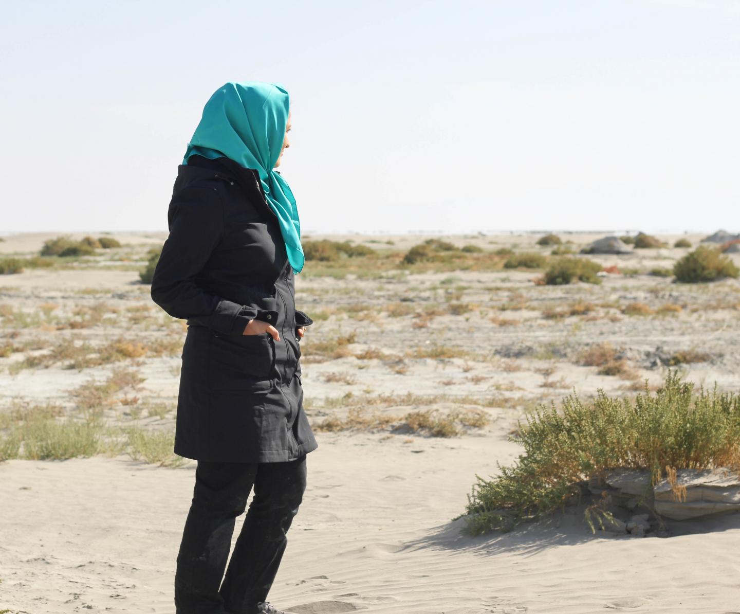 Somayeh Shadkam, International Institute for Applied Systems Analysis