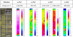 Synchrotron light for faster and more effective tooth whitening treatments