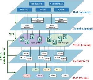 A hierarchical overview of the study pipeline