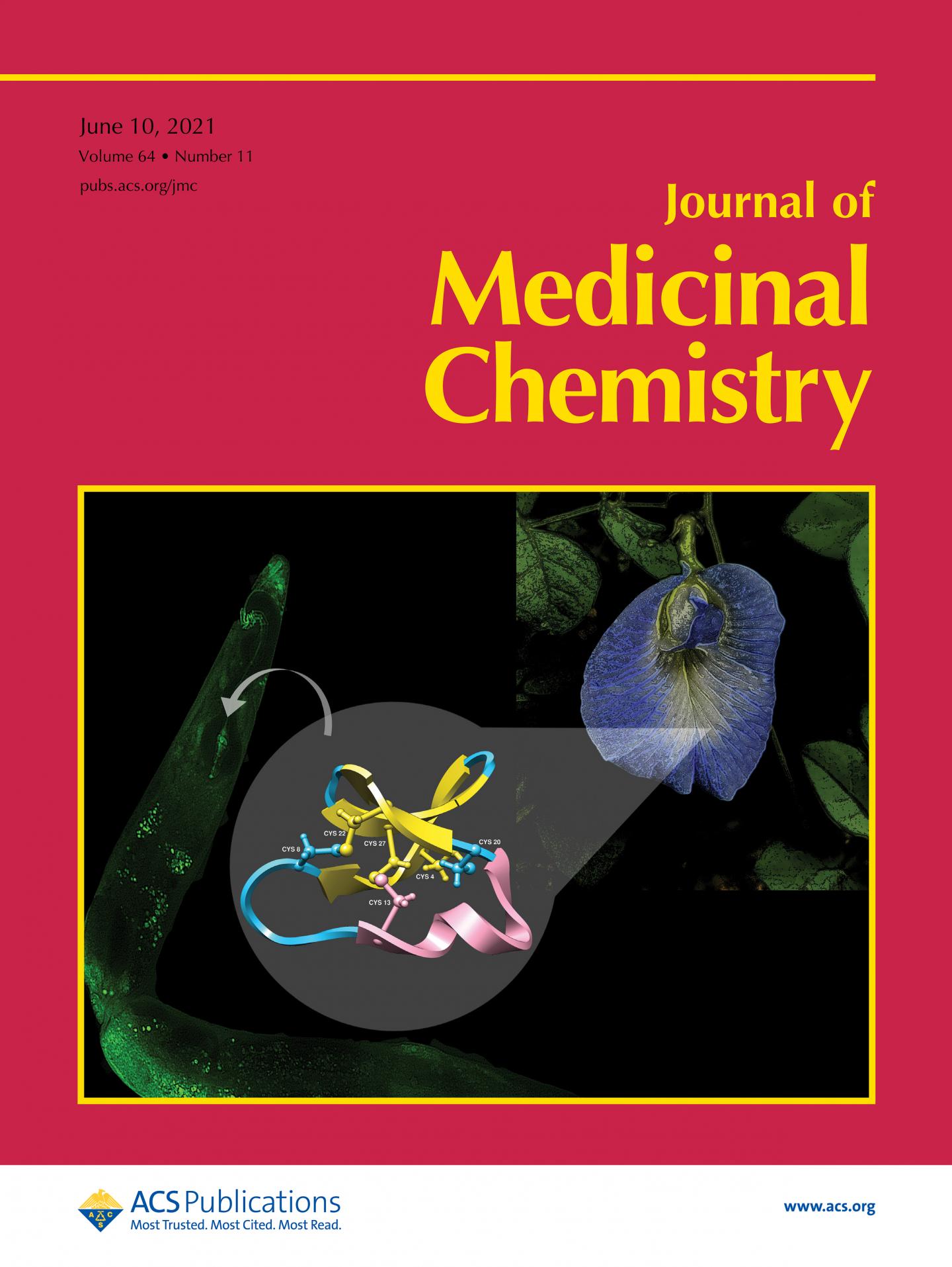 The Cover of the <em>Journal of Medicinal Chemistry</em>