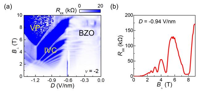 Quantum oscillations of correlated insulators at half filling of valance band.